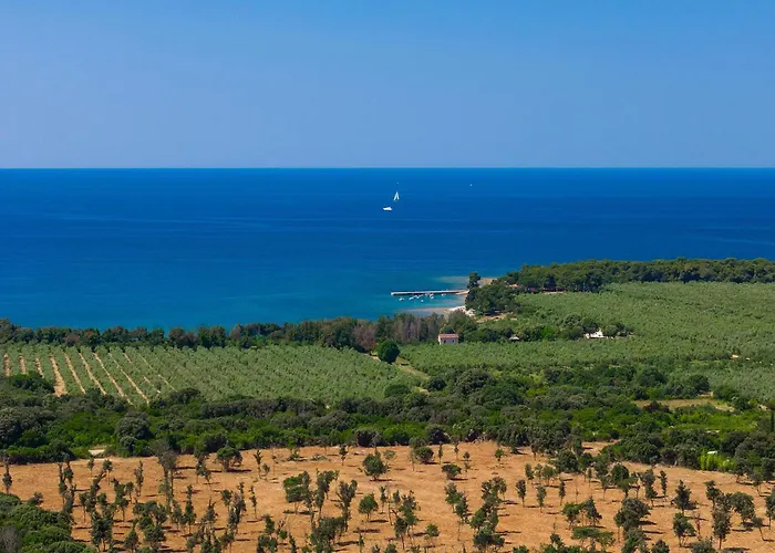 Cozy In With Wifi Vakantiehuis *