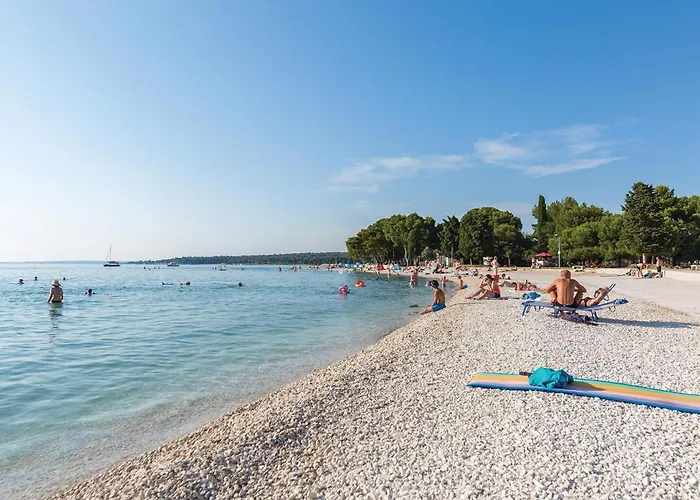 Vakantiehuis Cozy In With Wifi